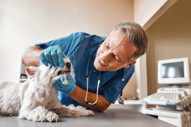 Best After-Hours Emergency Dentist in Riesel, TX